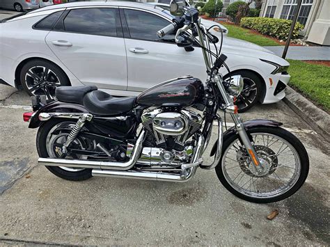 2006 Harley-Davidson Sporster 1200 - Motorcycles & Scooters - Tampa