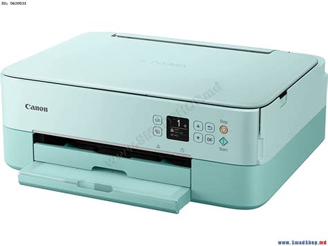 МФУ Canon Pixma TS5353a (Mint Green) купить в Кишиневе, Молдове ...