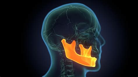 premium photo  human head   crown