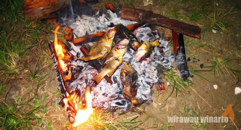 ikan segar  mayalibit tunawisma