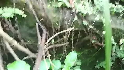 Kpop Cumtribute Karina Aespa Free Gay Porn F XHamster