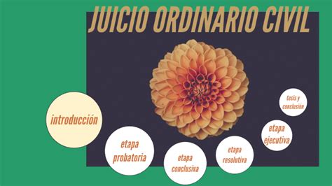 Etapas Del Juicio Ordinario Civil By Humberto Jr Rios M On Prezi