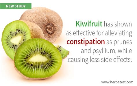 Kiwi's Effects on Relieving Chronic Constipation Explored by a Study