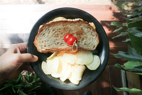 Egg and Cheese Toast, Egg and Cheese Toast Sandwich Stock Photo - Image ...