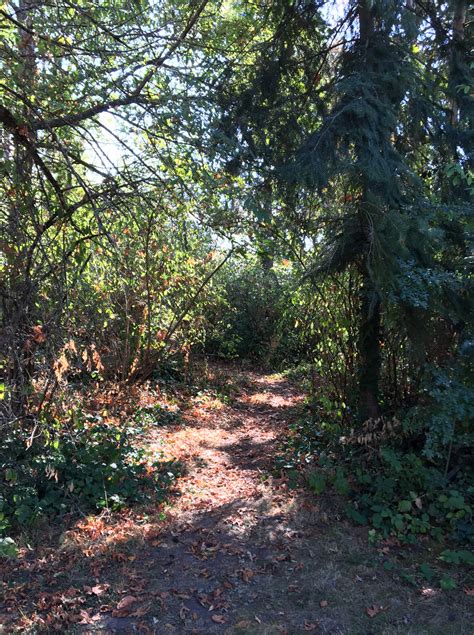 Secret Park – UW-REN 2017