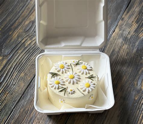 Бенто - Ромашки