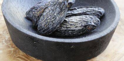 M Daillons De Veau Aux Morilles Et F Ve De Tonka Facile D Couvrez Les