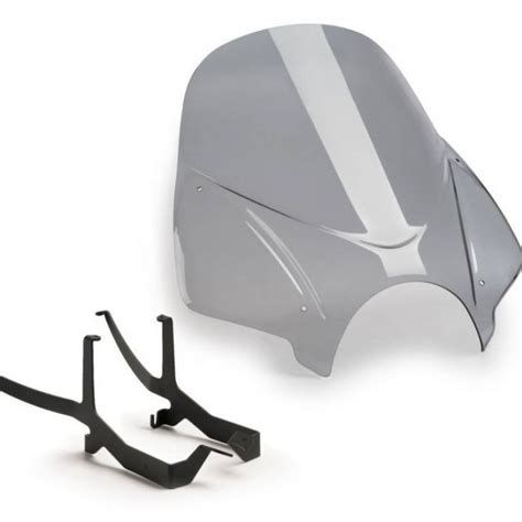 Puig Naked New Generation Windshield Touring Light Smoke H BMW R