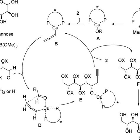 Proposed Catalytic Cycle For The Catalyst Controlled Stereodivergent