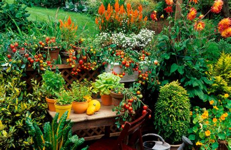 Garden Patio Ideas - NearSource Organics