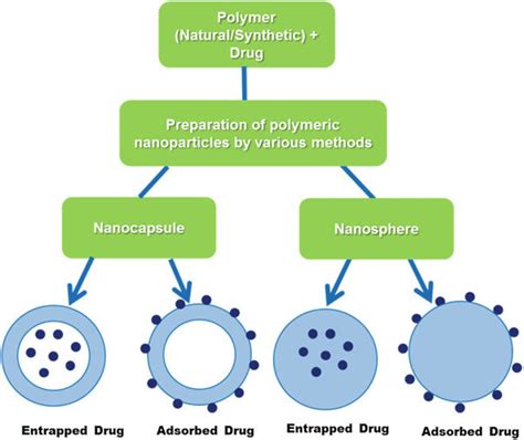 Diagram Showing The Preparation Of Polymeric Nanoparticles Using The