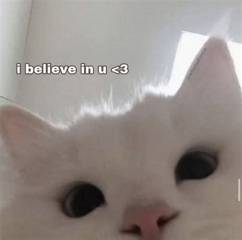 Believe in Yourself Cat Meme