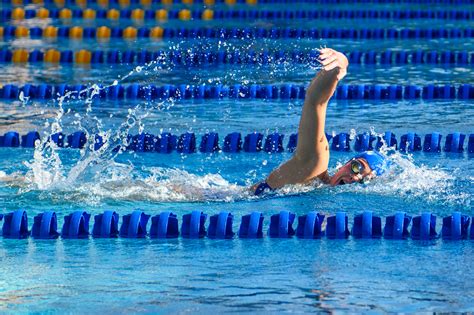 Ucla Swim And Dive Makes A Splash At Invitationals With Podium Finishes