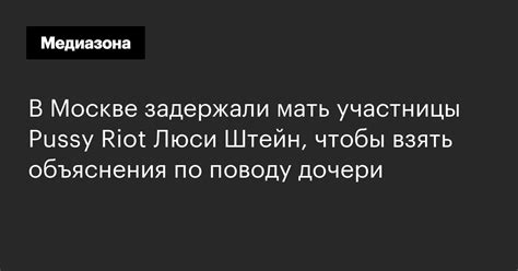 В Москве задержали мать участницы Pussy Riot Люси Штейн чтобы взять