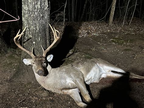 Kasyn Haynes - 2024 - Georgia Outdoor News