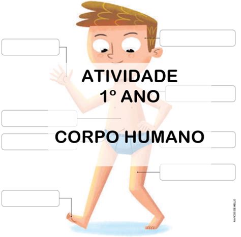 Partes Do Corpo Humano 1 Ano - Atividade De Cincias 1 Ano Partes Do Corpo