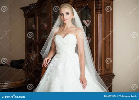 Elegant Blonde Bride In White Wedding Dress Posing Stock Photo Image Of Clothing Adult 66399156