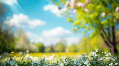 Nature Spring Background Stock Photos, Images and Backgrounds for Free ...