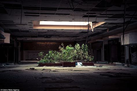 abandoned mall transforms   seasons