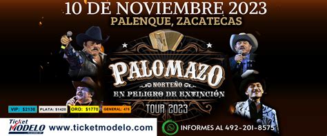 Ticket Modelo Palomazo NorteÑo