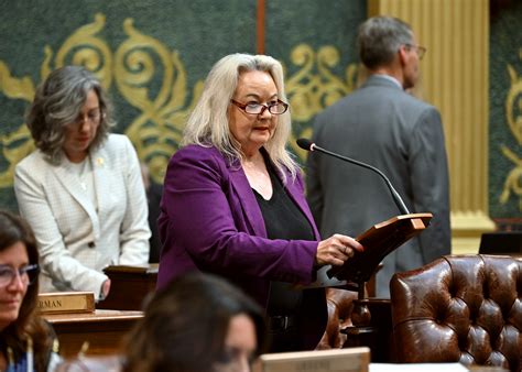Rep. Schmaltz advocates for corrections officers, keeps pushing plan to