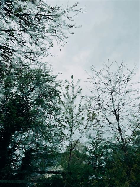 clouds  trees  stock photo