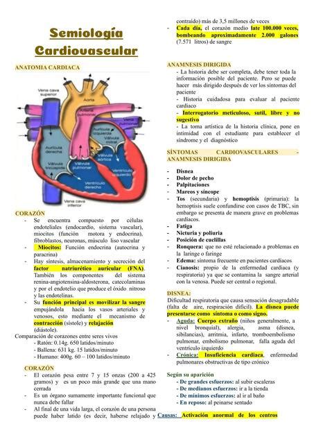 Semiolog A Cardiovascular Jackeline Espinoza Huam N Udocz