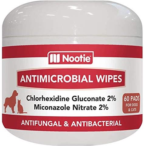 10 Best Antifungal For Dogs Treatment Review And Recommendation Pdhre