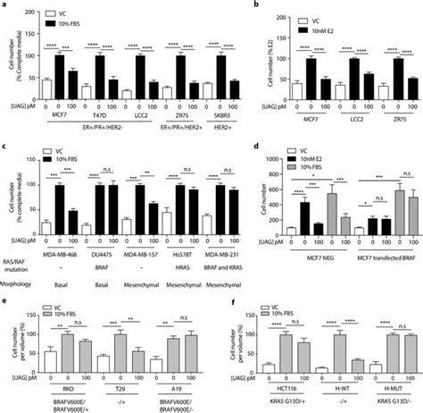 Figures And Data In Three Dimensional Growth Of Breast Cancer Cells