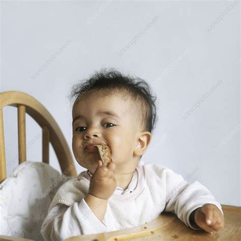 Six month old eating - Stock Image - C011/4693 - Science Photo Library