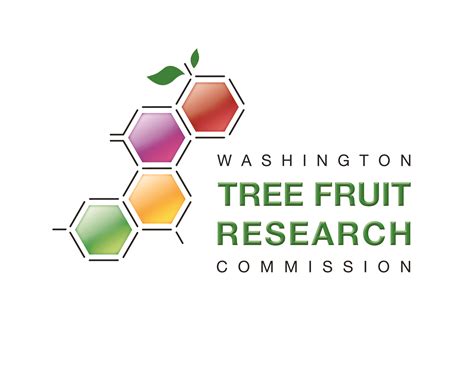 Apple Sunburn 101 | WSU Tree Fruit | Washington State University
