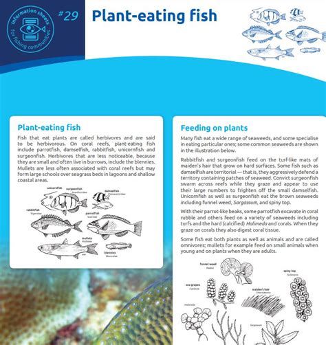 Plant Eating Fish Spc Coastal Fisheries And Aquaculture Cbfm