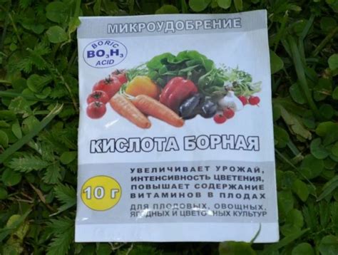 Борная кислота — применение для растений в саду и огороде