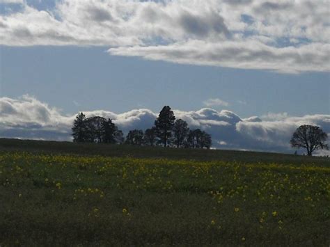 36 Best Images About Molalla Magic In Small Oregon Town On Pinterest