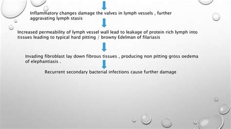 Pathogenesis Of Filariasis Ppt