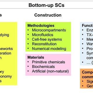 Schematic Representation Of Some Of The Principles Construction