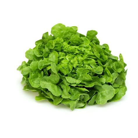 Salade Feuille De Ch Ne Blonde Pi Ce Pas Cher Prix Auchan