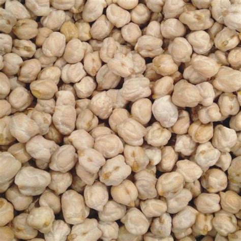 Kacang Kuda Putih Chickpeas 500gpop Shopee Malaysia