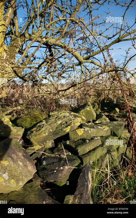 Dry Stone Wall Stock Photo Alamy