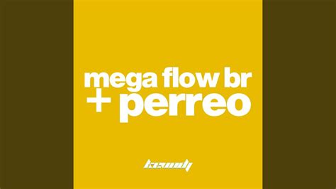 Mega Flow Br Perreo Remix Youtube Music