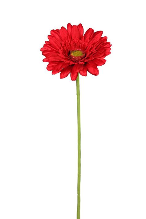 yerbera artificial | Flores artificiales, Plantas artificiales, Gerberas