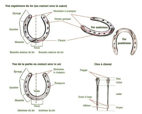 Galop 3 Site De Fermeequestrelartigou