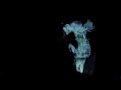 The Wonderful World Of Vintage Pornography Vintage Hairy Milf Xxx Mobile Porno Videos