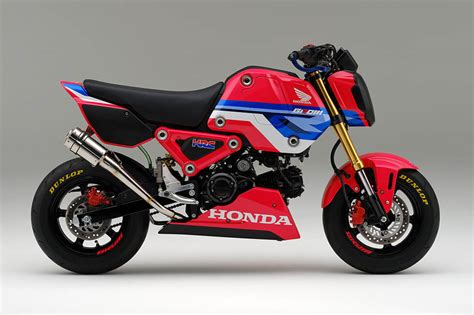 2024 Honda Grom Mods - Edin Doralynne