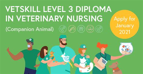 Veterinary Nursing Level Diploma Co Caw