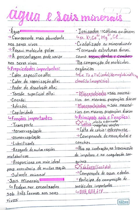 Questões Sobre Água E Sais Minerais - Questoes Sobre Sais Minerais - MAGEDU