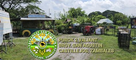 purok  valiant  brgy san agustin castillejos zambales facebook
