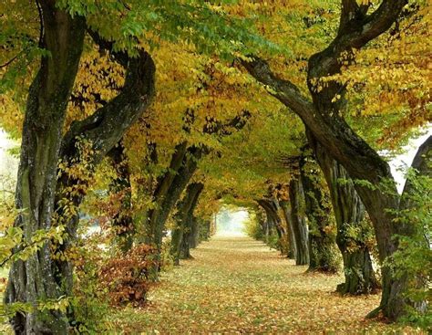 Landscapes Autum Puzzle Factory Puzzle Factory