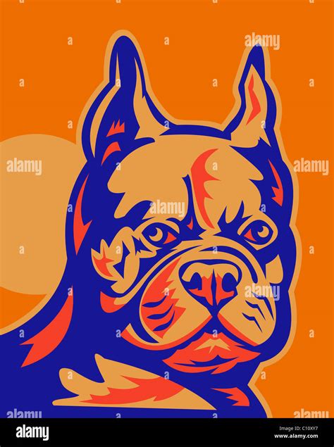 Retro Style Vector Illustration Of A French Bulldog Portrait Looking To