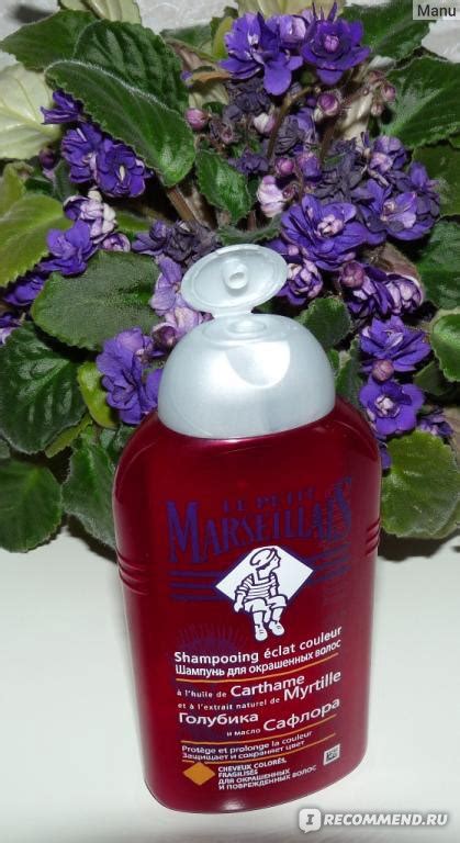 Шампунь Le Petit Marseillais "Голубика и масло Сафлора" для окрашенных ...